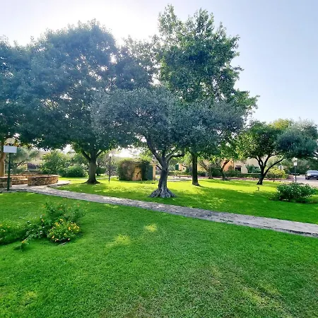 Gli Ulivi San Teodoro Centro *